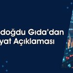 Hissesi yüzde 2494 yükselen şirketten fiyat açıklaması