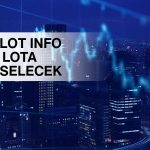 İnfo Yatırım yüzde 100 bedelsiz için SPK başvurusu yaptı