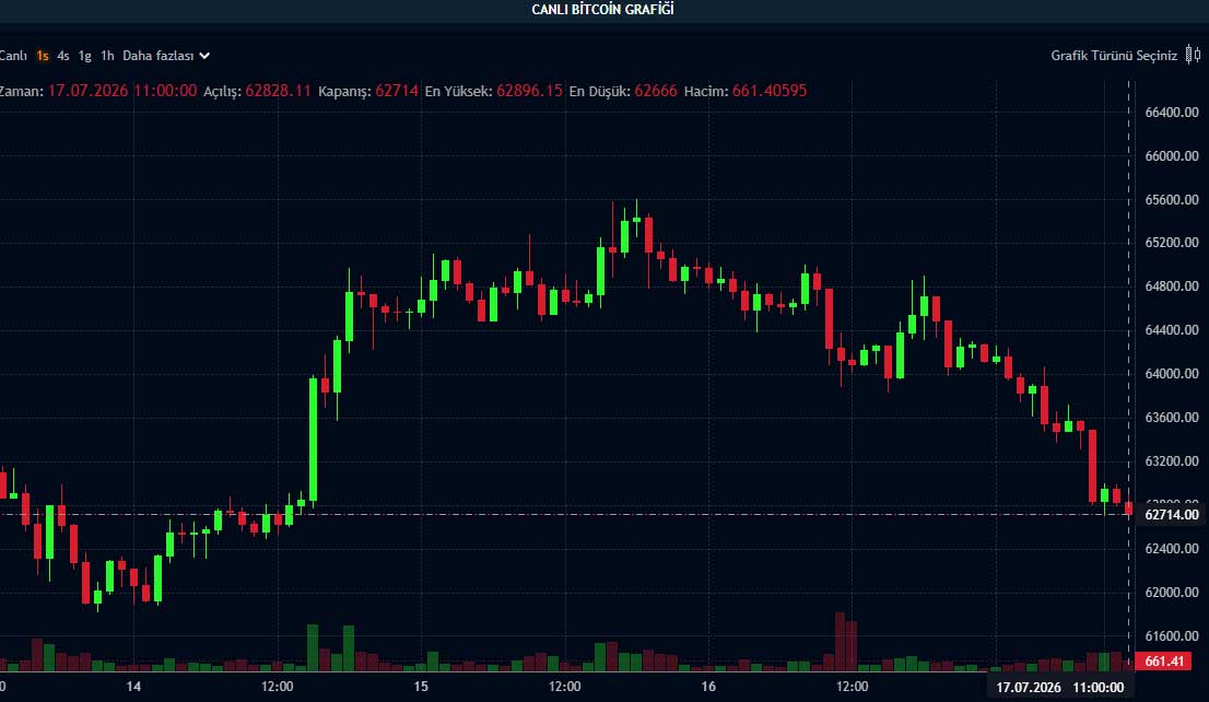 BTC fiyat grafiği