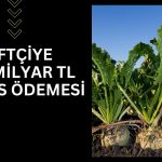 Şeker pancarı üreticisine 2,7 milyar TL destek