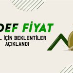 TAVHL için dirençli operasyon vurgusu! Hissede hedef fiyat ne?