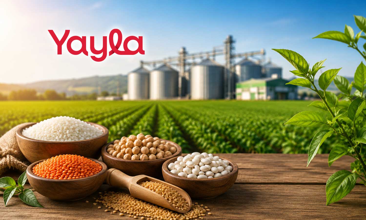 Yayla Agro, kurumsal yönetim derecelendirme notunu yükseltti