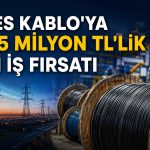 Alves Kablo, elektrik dağıtım ihalesinde sözleşme daveti aldı