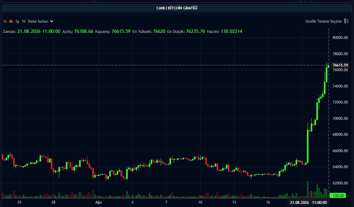 BTC fiyat grafiği