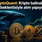 CryptoQuant: Ayı piyasasında son evre sinyalleri güçleniyor