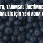 DCTTR, yaban mersini faaliyetlerini tek çatı altında topluyor