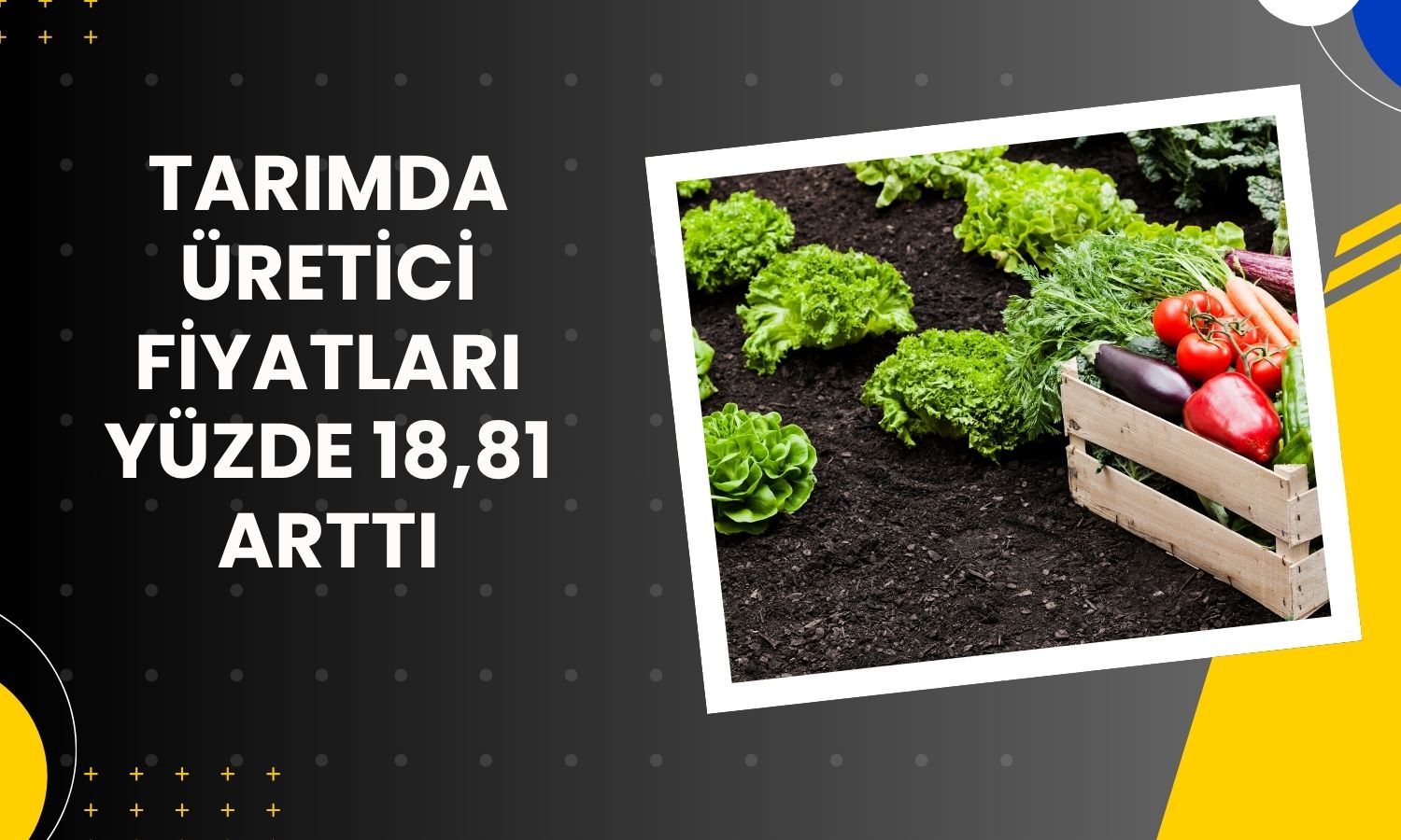 Tarım-ÜFE Temmuz’da yüzde 18,81 arttı