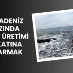 Türkiye’nin yurt içi petrol üretimi 23,1 milyon varile çıktı