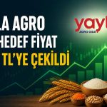 Yayla Agro hissesinde hedef fiyat değişti