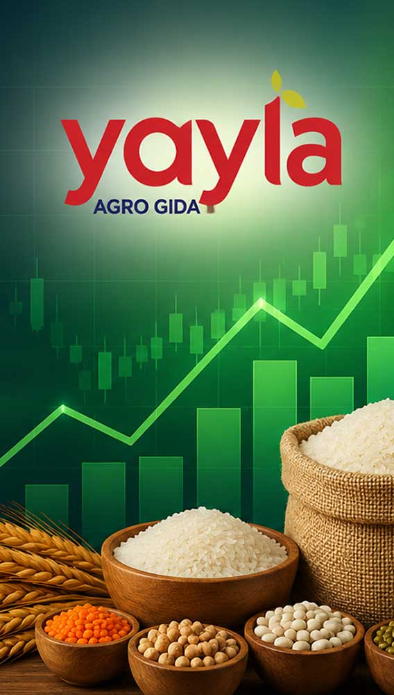 Yayla Agro hissesinde hedef fiyat değişti
