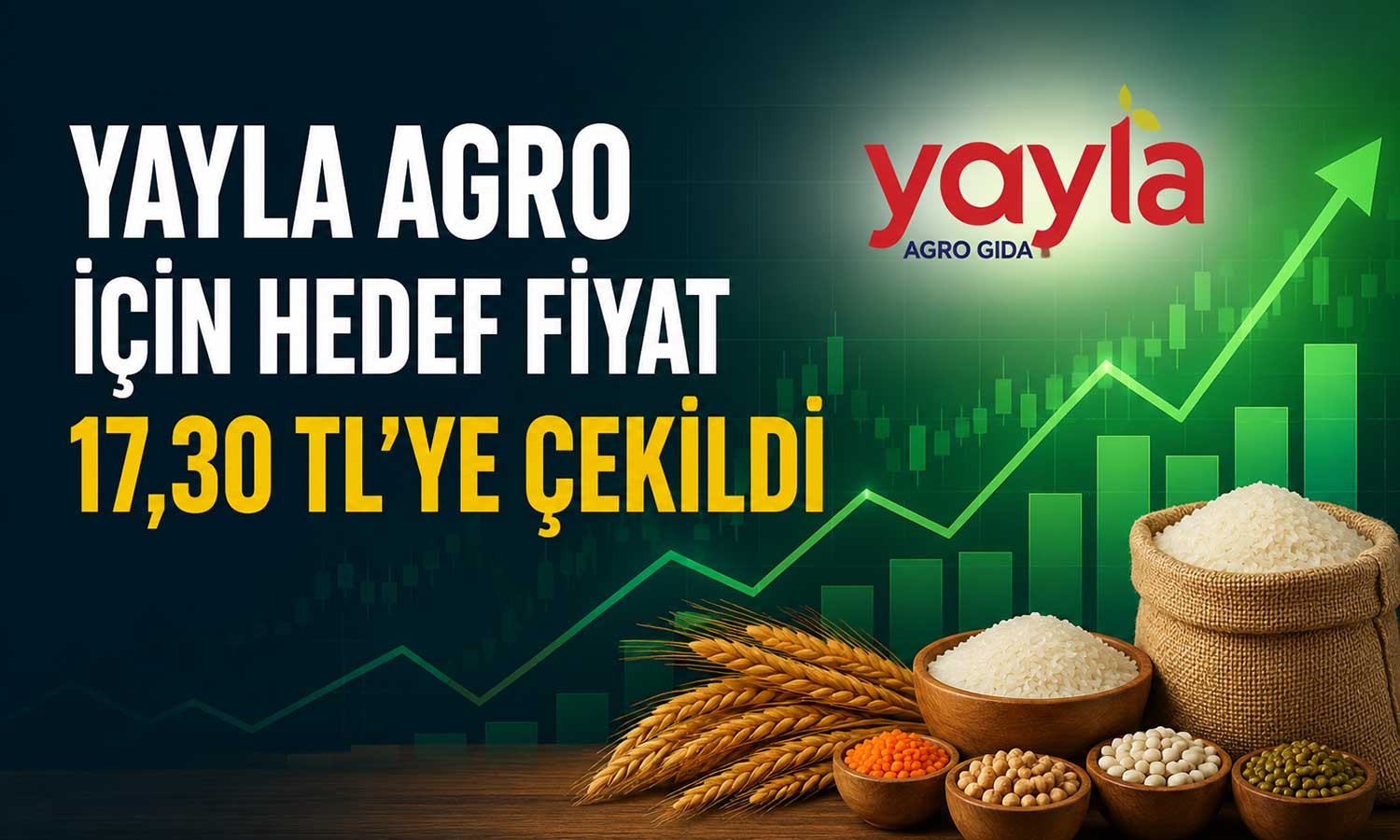 Yayla Agro hissesinde hedef fiyat değişti
