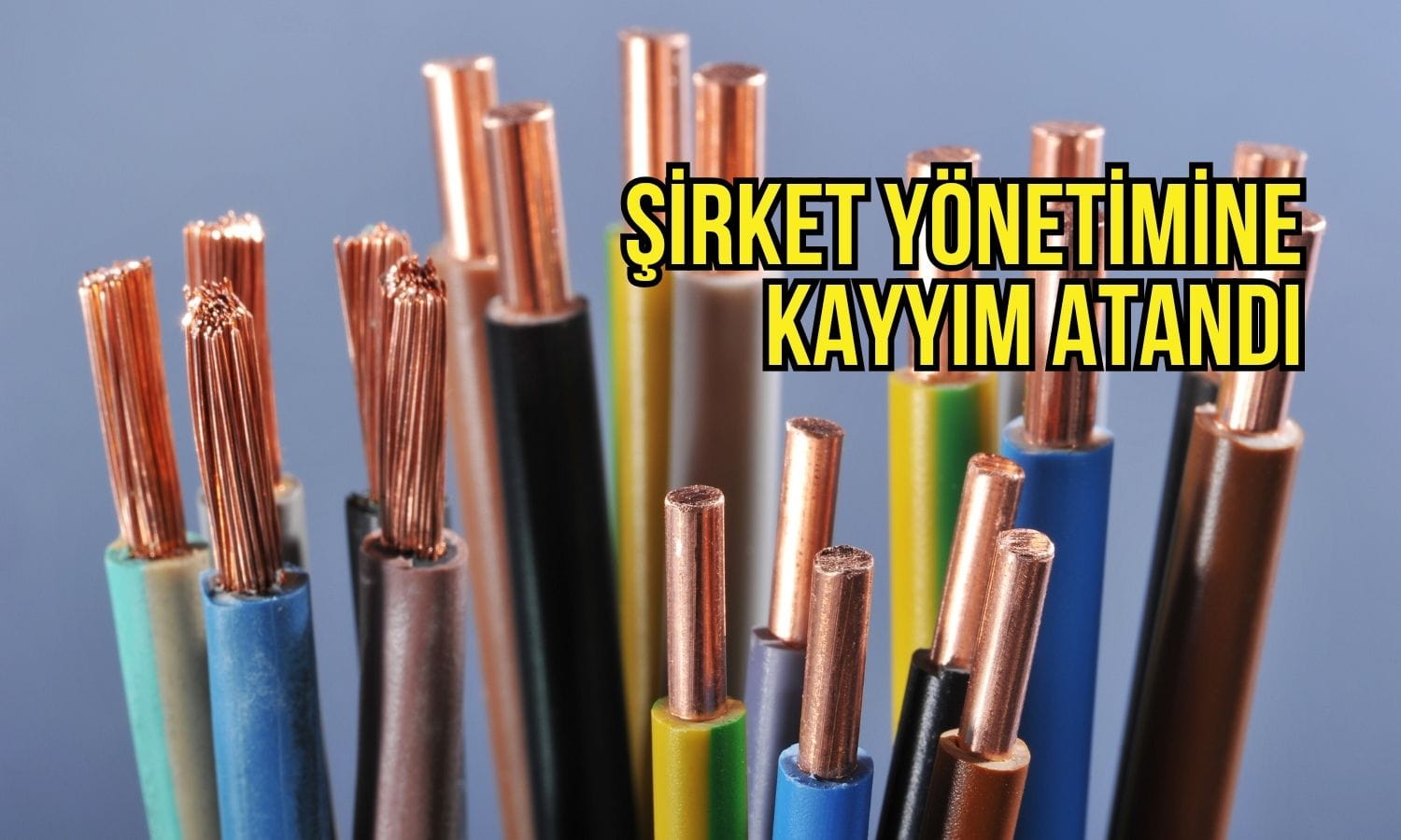 Alves Kablo’da kritik gelişme: Şirket yönetimine kayyım atandı