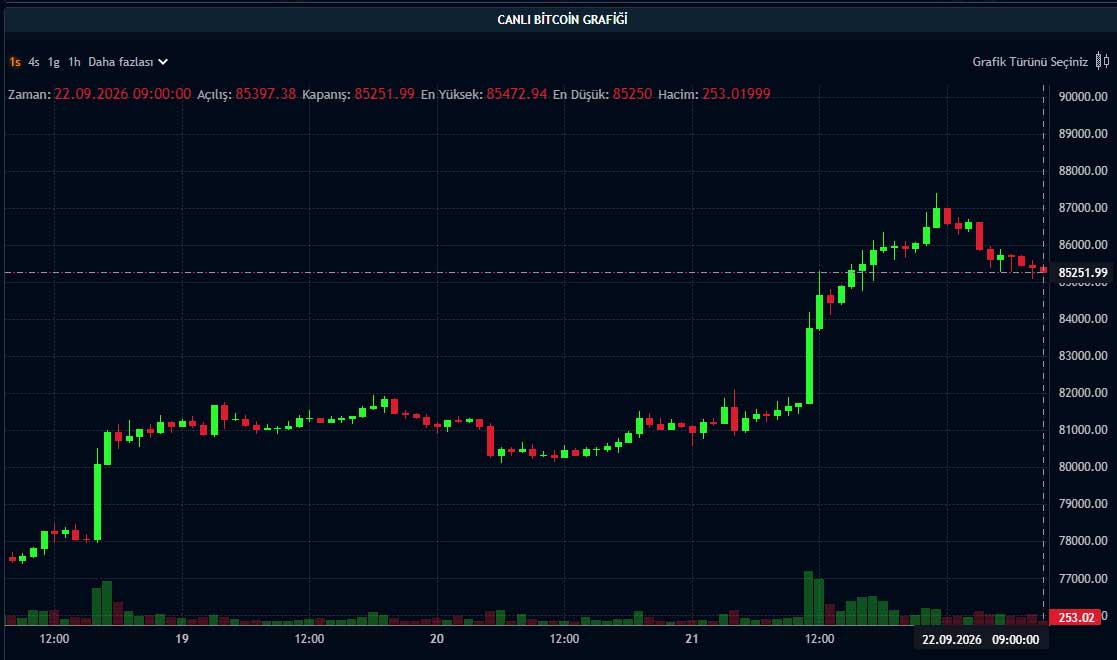 BTC fiyat grafiği
