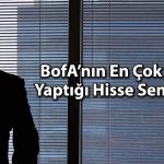 BofA’dan havacılık devinde 1,8 milyar TL’lik hisse alımı