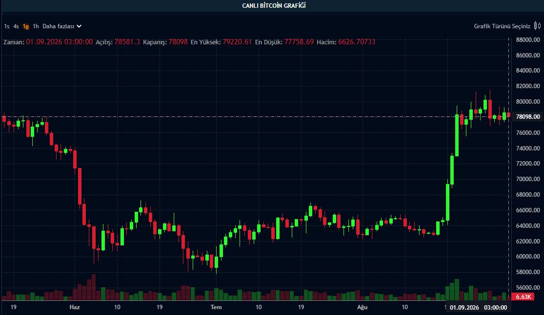 BTC fiyat grafiği