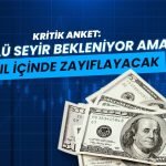 Dolar için kritik anket: “Bir yıl içinde zayıflayacak”