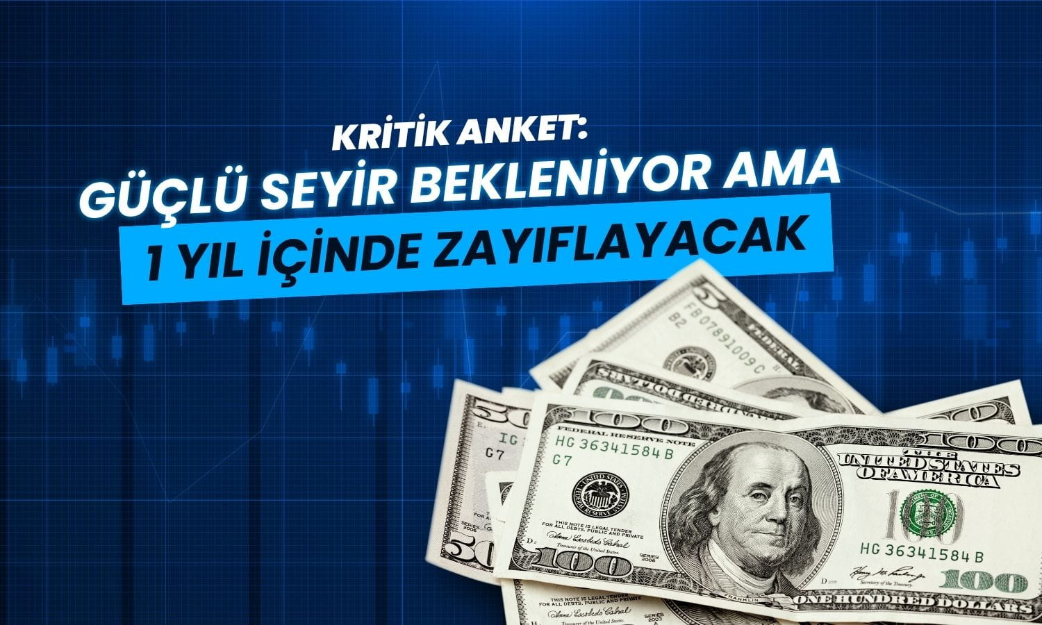 Dolar için kritik anket: “Bir yıl içinde zayıflayacak”