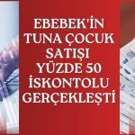 Ebebek için 105 TL hedef fiyat korundu