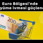 Euro Bölgesi’nde özel sektör büyümesi 3,5 yılın zirvesine çıktı