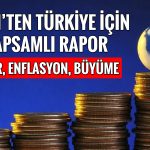 Fitch Türkiye için rakam verdi: Dolar/TL 60’a çıkabilir