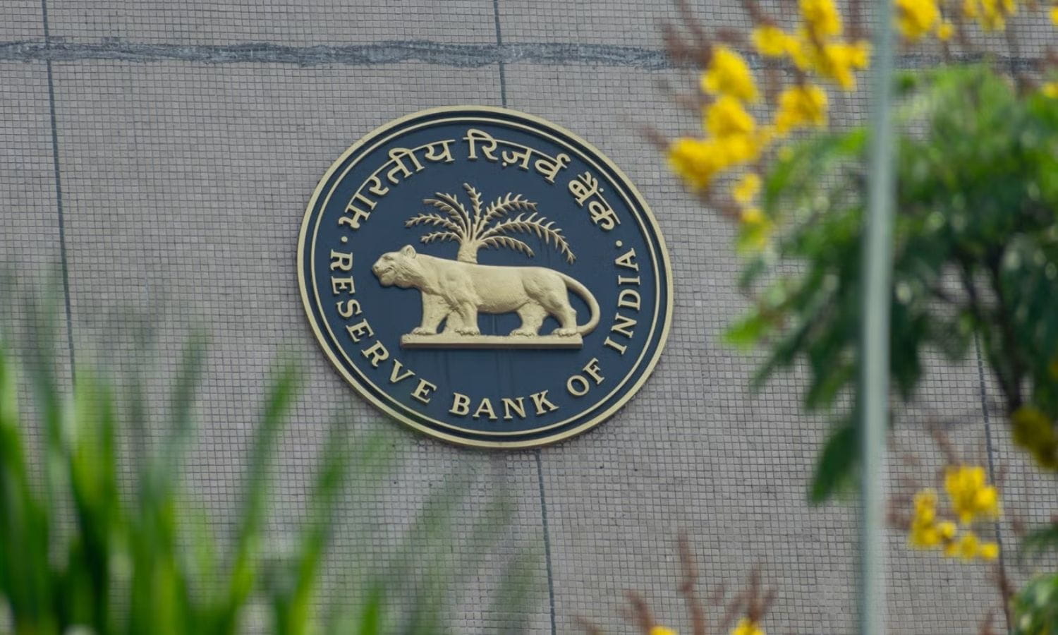 Hindistan'dan 136 milyar dolarlık hamle! Rezervler rekor kırdı