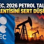 OPEC petrol talebi beklentisini aşağı çekti