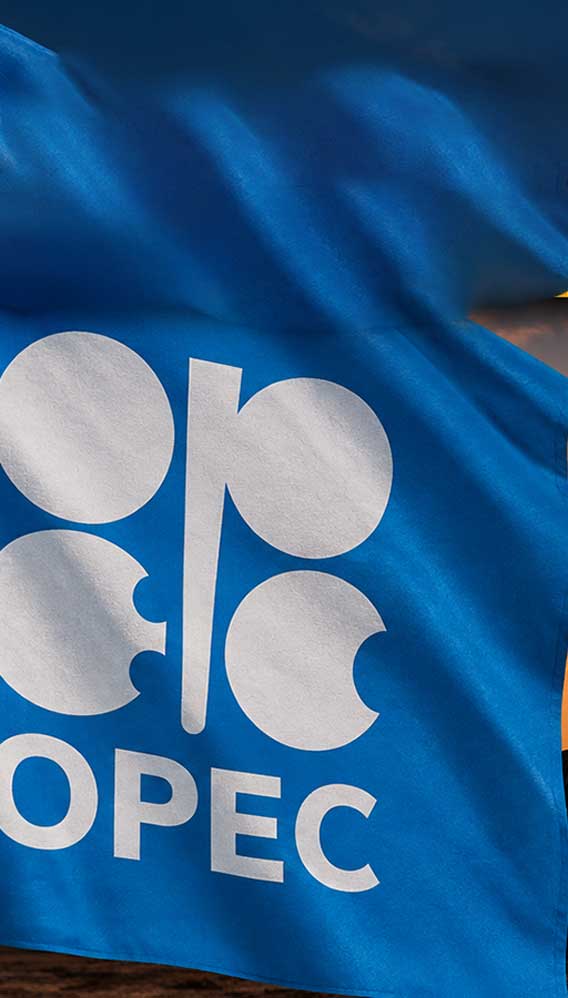 OPEC petrol talebi beklentisini aşağı çekti