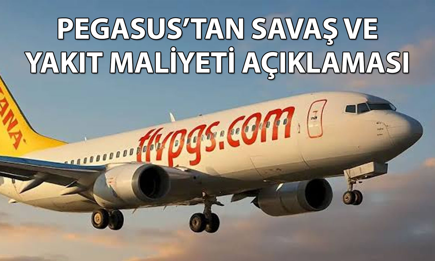 Pegasus/Nane: Savaşın etkisini negatif yaşadık