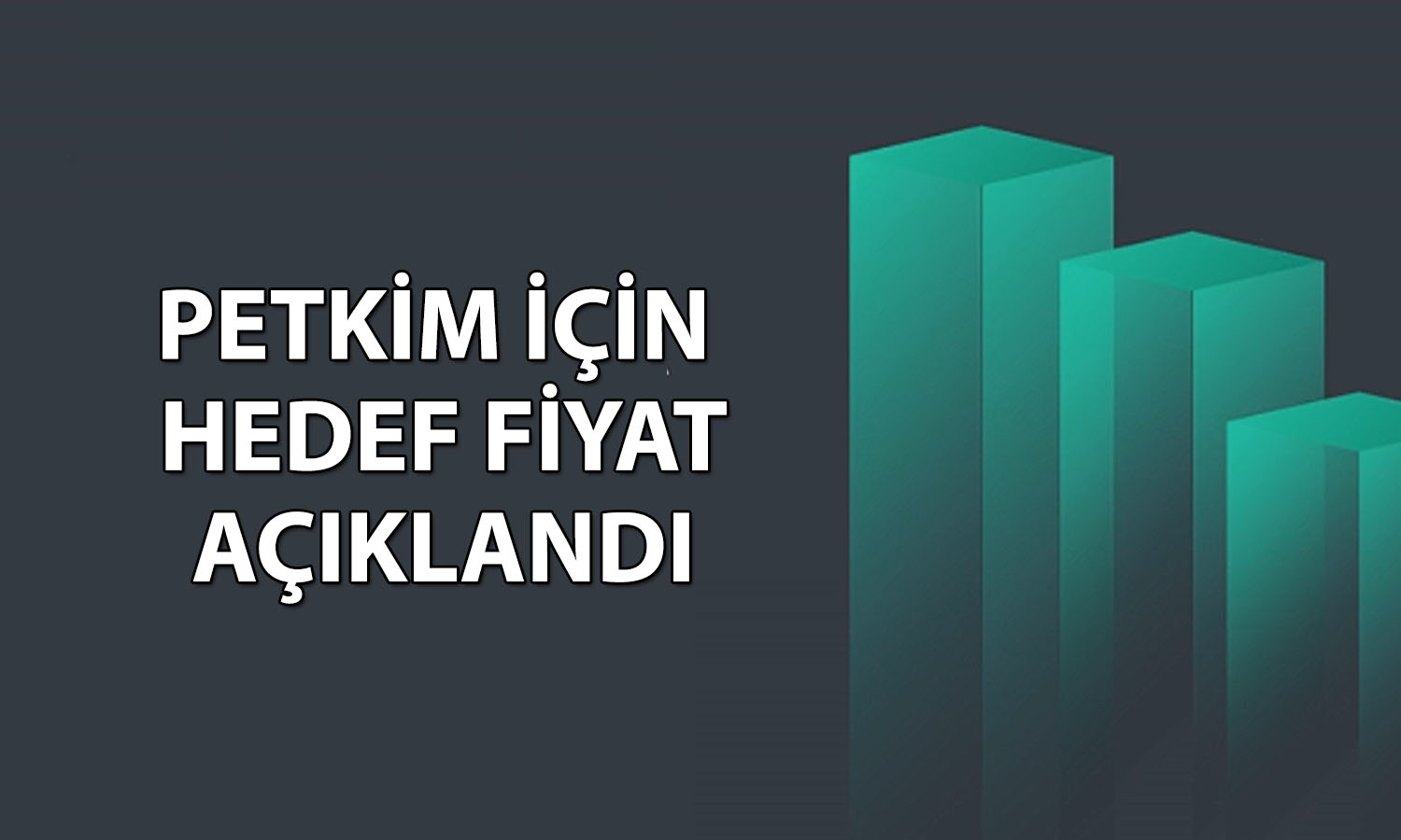 Petkim’de etilen-nafta makası açıklandı: Hedef fiyat 21 TL’de kaldı