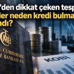 TCMB araştırdı: Kur riski yüksek bankalar krediyi kıstı
