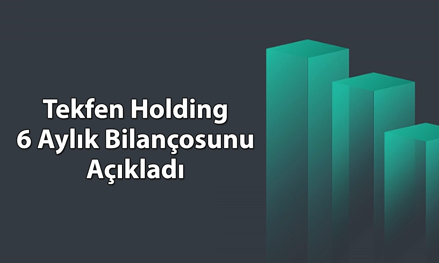 Tekfen Holding yılın ilk yarısında 376 milyon TL kar açıkladı