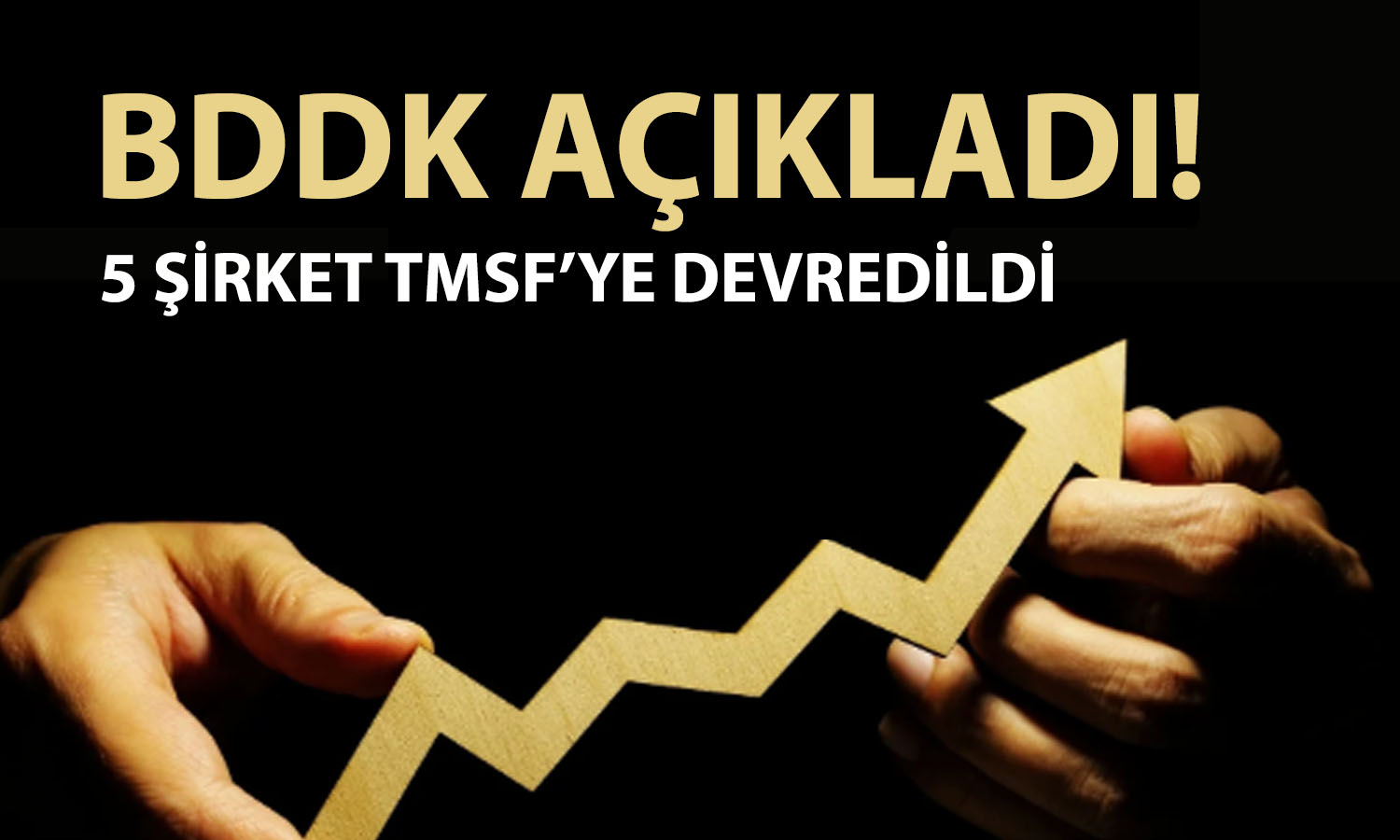 TMSF devreye girdi: Tera, Hedef ve Destek için kritik karar