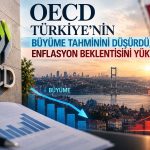 Türkiye için OECD’den enflasyon uyarısı: Tahmin yüzde 31,5’e çıktı