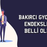 Yeni halka arz Bakırcı GYO için endeksler belli oldu