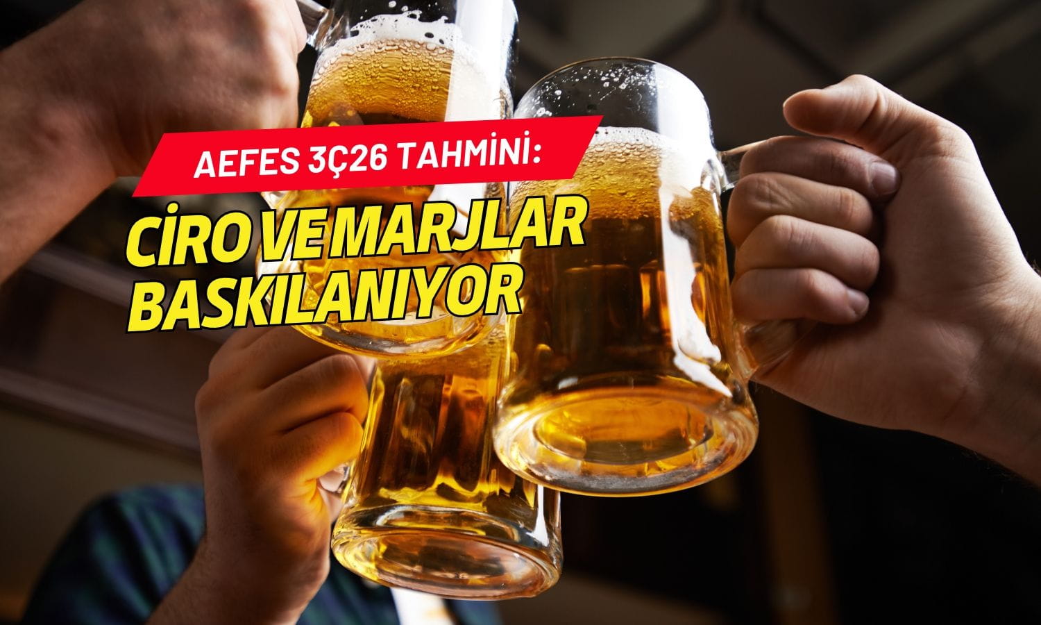 AEFES ciro ve marjları baskılanıyor: Kârın azalması bekleniyor