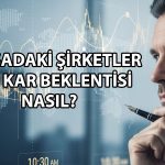 BIST 100 şirketlerinde kar alarmı: Tüpraş yükü sırtlıyor