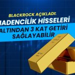 BlackRock: Madencilik hisseleri altın fiyatının 3 katı getiri sağlayabilir