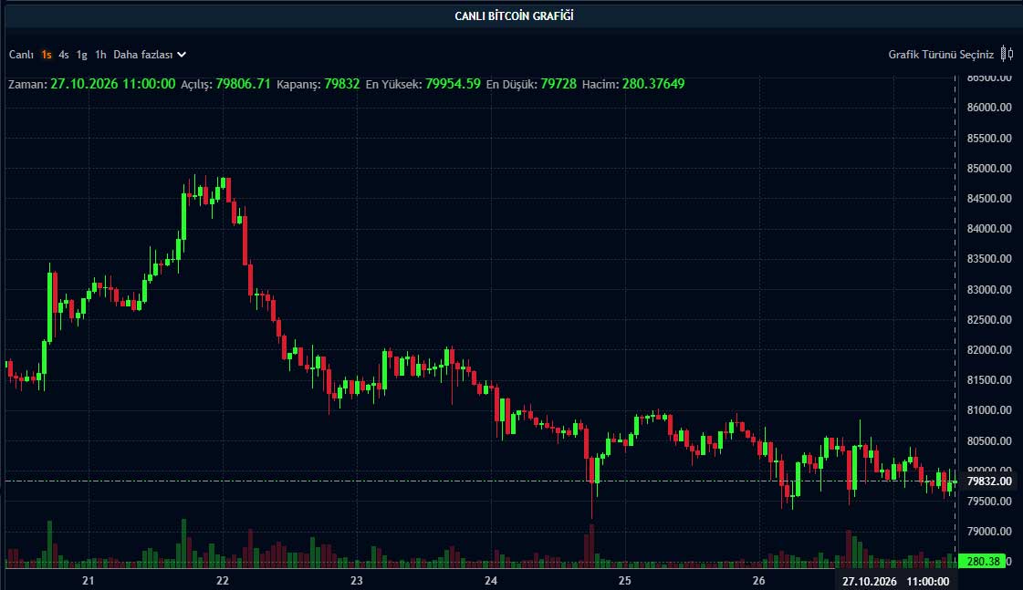 BTC fiyat grafiği