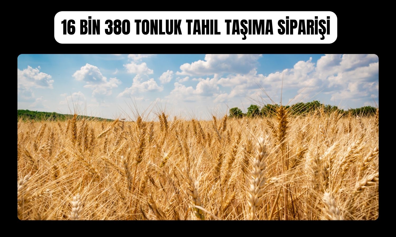 PASEU, Kazakistan-Türkiye tahıl taşımacılığına başladı