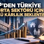 S&P: Türk sigorta şirketlerinde kârlılık güçlü kalacak