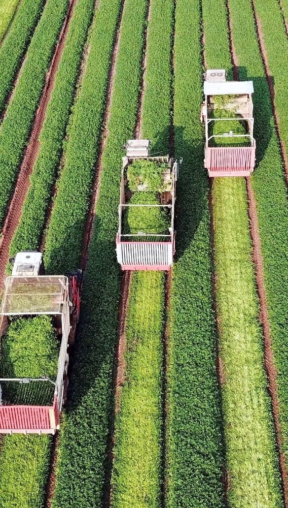 Tarımsal girdi fiyatları Ağustos'ta yıllık yüzde 30,28 arttı