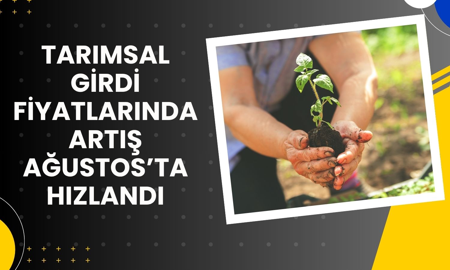 Tarımsal girdi fiyatları Ağustos’ta yıllık yüzde 30,28 arttı