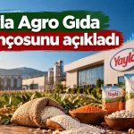 Yayla Agro Gıda’nın 9 aylık net karı yüzde 126 arttı